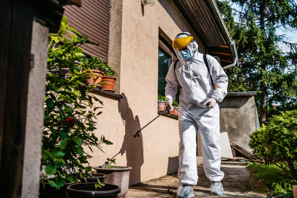 Best Mosquito Control Services  in Costa Mesa, CA