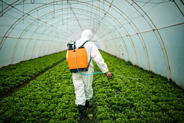 Best Pest Inspection Near Me  in Costa Mesa, CA