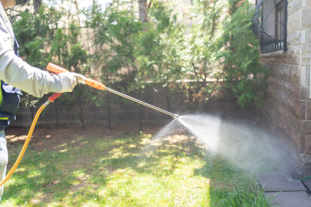 Best Pest Removal Services  in Costa Mesa, CA