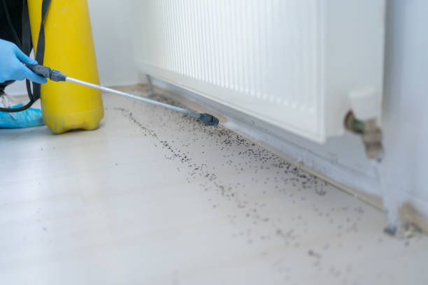 Best Bed Bug Extermination  in Costa Mesa, CA